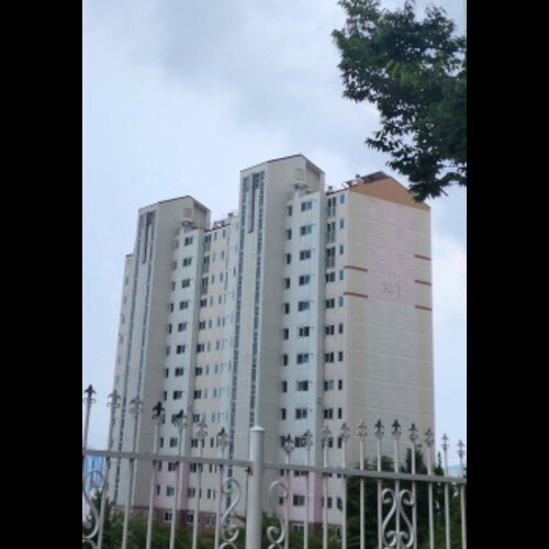 물건 사진