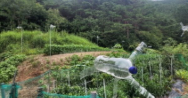 울산광역시 울주군 삼동면 둔기리 OOOOOO 임야 경매 물건 이미지