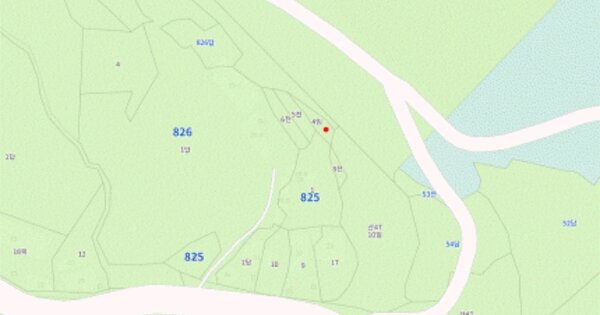 경상남도 하동군 금남면 대송리 43-2  임야 경매 물건 이미지