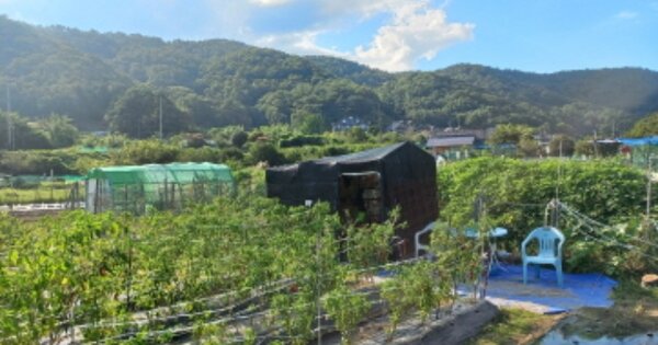 경남 거제시 고현동 963-1, 117동 OOOOOO OOOOOOOOOOOOO 아파트 경매 물건 이미지