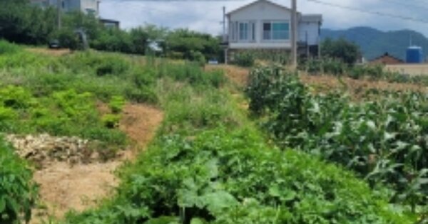 경상남도 통영시 산양읍 미남리 OOO 전 경매 물건 이미지