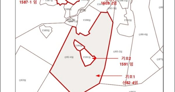 전라남도 광양시 다압면 고사리 OOOOOO 임야 경매 물건 이미지