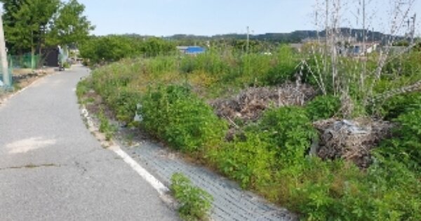 경기도 양주시 광사동 OOO 답 경매 물건 이미지