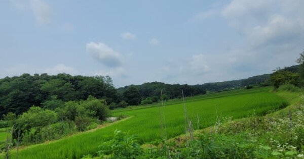 경기도 파주시 진동면 서곡리 OOOOO 답 경매 물건 이미지