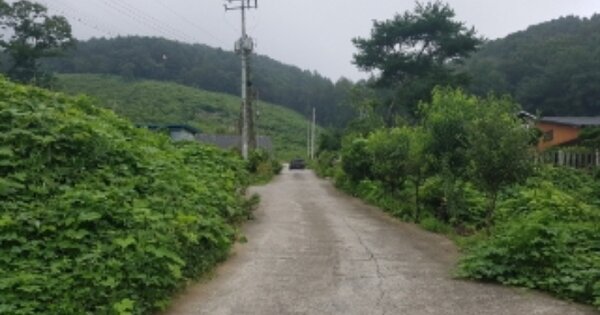 강원특별자치도 홍천군 서면 모곡리 OOOOOO O OOO 대지 경매 물건 이미지
