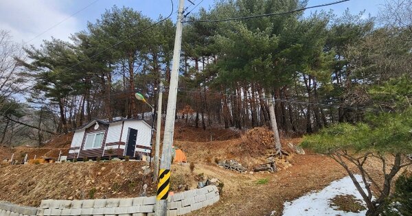 강원특별자치도 평창군 봉평면 유포리 OOOOO 임야 경매 물건 이미지