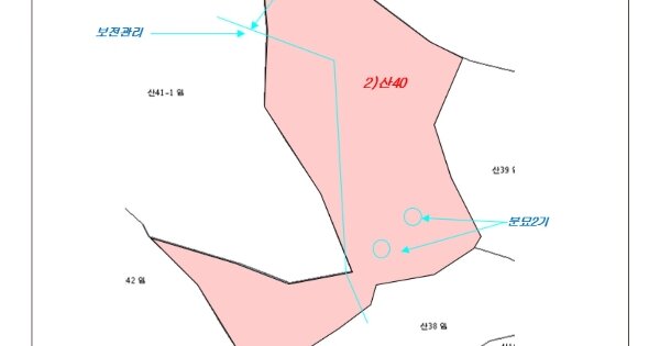 충청북도 충주시 수안보면 온천리 OOO O OOO 임야 경매 물건 이미지