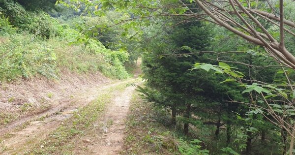 충청북도 충주시 대소원면 완오리 OOOOO 임야 경매 물건 이미지