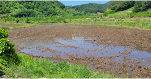 경상북도 청도군 이서면 문수리 OOOOO O OOO 답 경매 물건 이미지