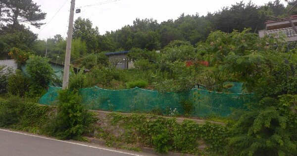 경상북도 경주시 충효동 OOOOO 임야 경매 물건 이미지