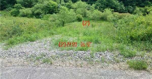 경상북도 김천시 조마면 신곡리 OOOOOO O OOO 답 경매 물건 이미지