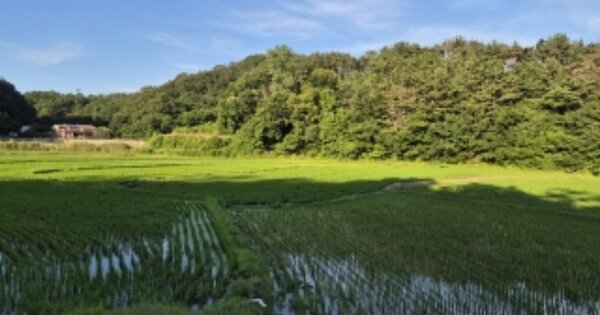 경상북도 포항시 남구 장기면 금곡리 OOO 전 경매 물건 이미지