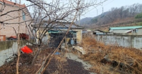 경상남도 김해시 진영읍 내룡리 OOOOO 임야 경매 물건 이미지