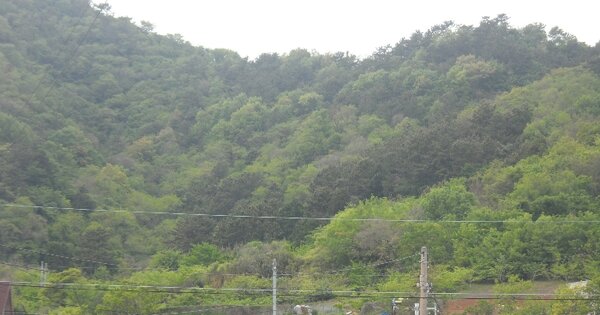 경상남도 거제시 사등면 창호리 OOO 전 경매 물건 이미지