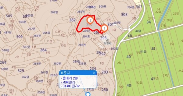 경상남도 함안군 법수면 윤내리 297-2 묘지 경매 물건 이미지