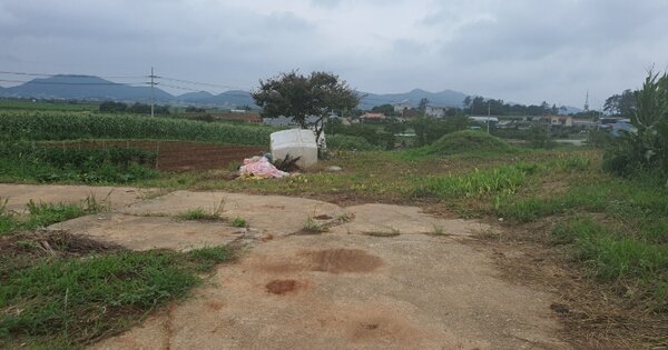전라남도 무안군 일로읍 의산리 559-72  임야 경매 물건 이미지
