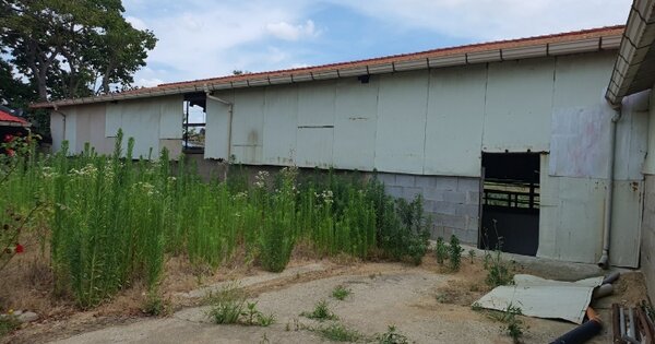 물건 대표 이미지