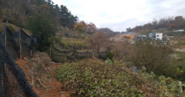 전라남도 여수시 학동 309 도로 경매 물건 이미지
