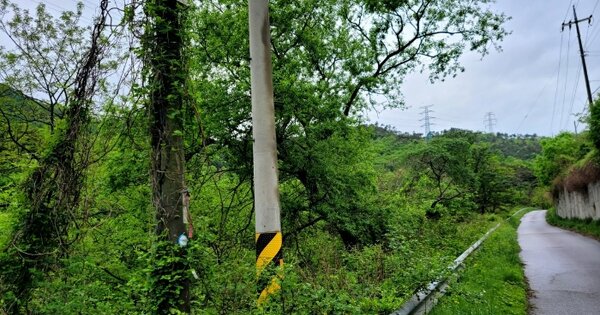 전라남도 구례군 산동면 계천리 OOO 임야 경매 물건 이미지