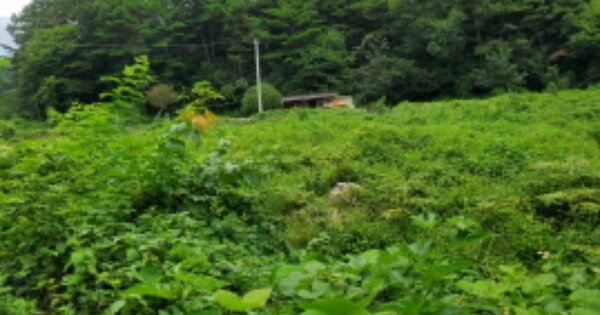 전라남도 순천시 해룡면 상삼리 OOOOOO 단독주택 경매 물건 이미지