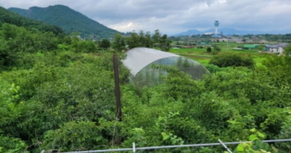 전라남도 여수시 소라면 대포리 OOOOO 전 경매 물건 이미지