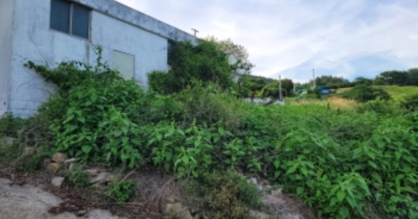 전라남도 여수시 돌산읍 평사리 OOO O OOO 답 경매 물건 이미지