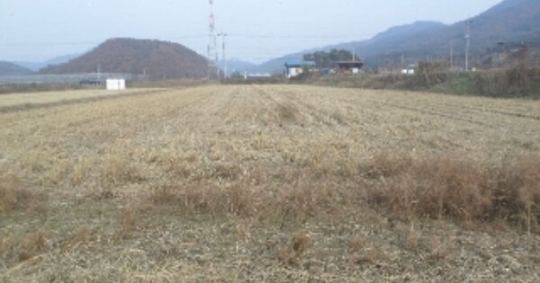 전북특별자치도 완주군 구이면 덕천리 OOOO 단독주택 경매 물건 이미지