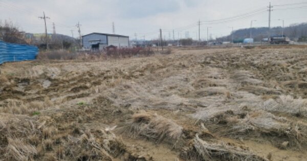경기도 시흥시 정왕동 OOOOO 전 경매 물건 이미지