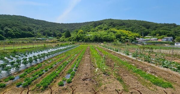 경상남도 통영시 한산면 염호리 OOOOO 답 경매 물건 이미지