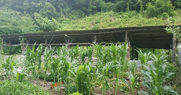 경상북도 안동시 예안면 인계리 OOOOO 전 경매 물건 이미지