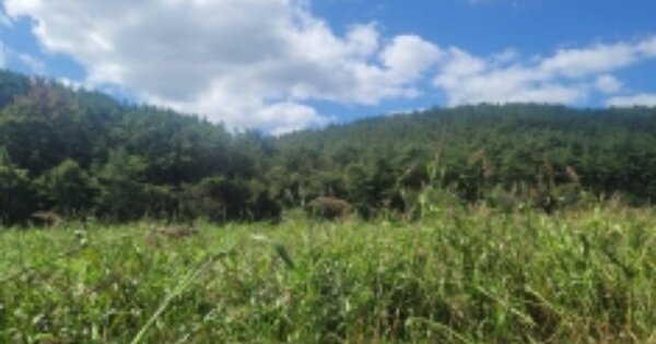 경상남도 거제시 둔덕면 학산리 OOOOO 창고시설 경매 물건 이미지