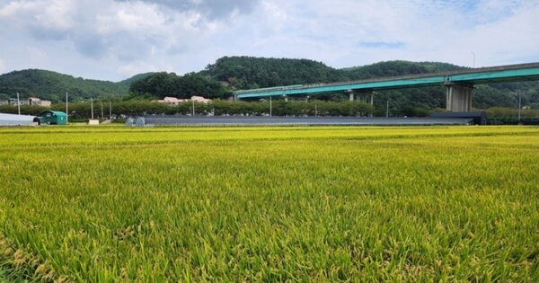경상남도 통영시 광도면 덕포리 OOOOOO 전 경매 물건 이미지
