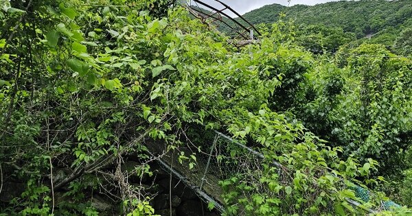전라남도 광양시 봉강면 신룡리 OOOOOOO 동물 및 식물 관련시설 경매 물건 이미지