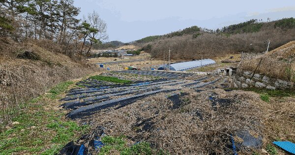 충청남도 금산군 부리면 창평리 OOOOO 임야 경매 물건 이미지