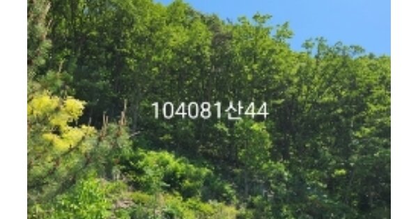 물건 대표 이미지