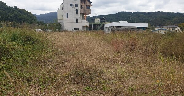 대구광역시 동구 미곡동 OOOOOO 답 경매 물건 이미지