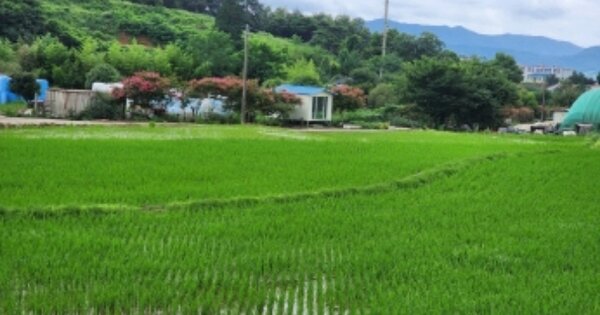 전라남도 순천시 낙안면 검암리 OOO 전 경매 물건 이미지