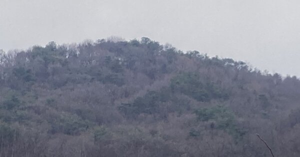 충청북도 청주시 청원구 오창읍 후기리 OOO 임야 경매 물건 이미지