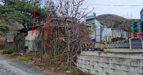 경기도 포천시 동교동 242-4 대지 경매 물건 이미지