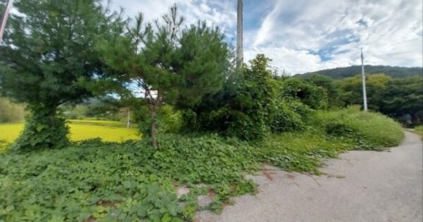 충청남도 공주시 계룡면 하대리 216-1 외 1필지 단독주택 경매 물건 이미지