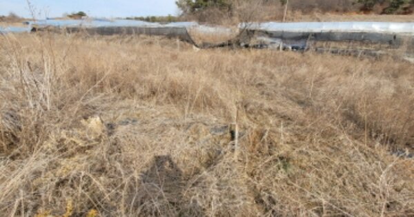 경기도 화성시 송산면 고포리 OOOOOO 전 경매 물건 이미지