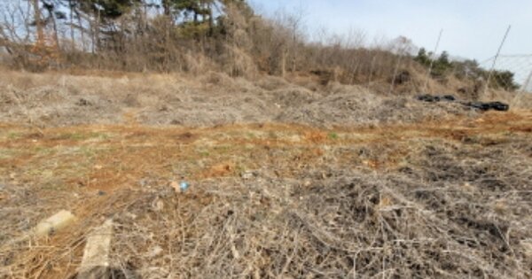 경기도 화성시 송산면 고포리 OOOOOO 전 경매 물건 이미지