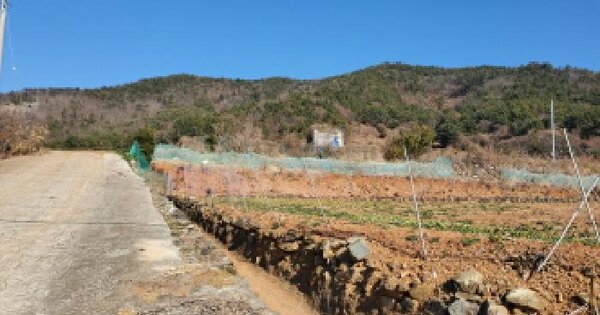 전라남도 여수시 돌산읍 금봉리 1481 전 경매 물건 이미지