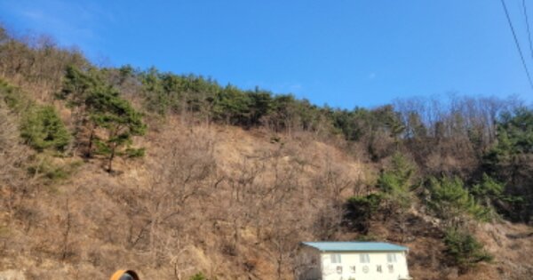 경상북도 영양군 석보면 소계리 산79  임야 경매 물건 이미지