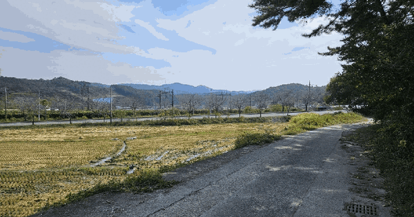 충청남도 계룡시 엄사면 향한리 274-6 답 경매 물건 이미지