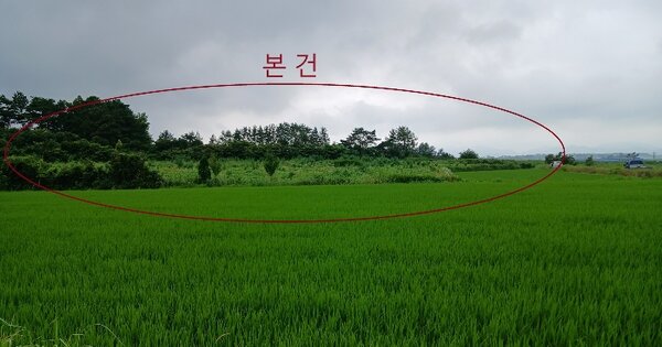 전라남도 영암군 군서면 마산리 OOOOO 전 경매 물건 이미지