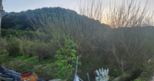 경상남도 고성군 영오면 양산리 OOO 답 경매 물건 이미지