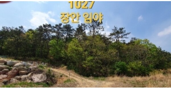 물건 대표 이미지