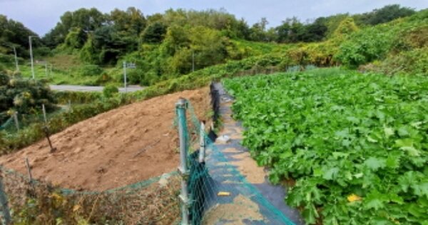 경기도 남양주시 진건읍 진관리 산12 임야 경매 물건 이미지