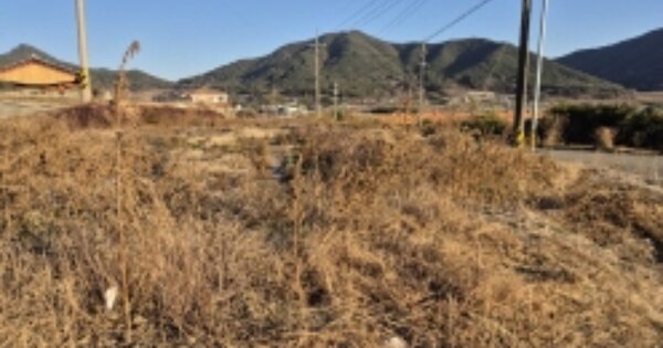 물건 대표 이미지